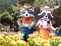 recently watched image