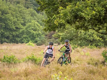 Landal Drentse Lagune