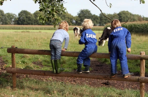 BoerenBed De Lange Weide
