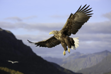 4x de leukste bestemmingen voor een rondreis met Nordic