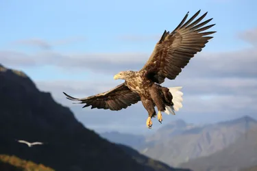 4x de leukste bestemmingen voor een rondreis met Nordic