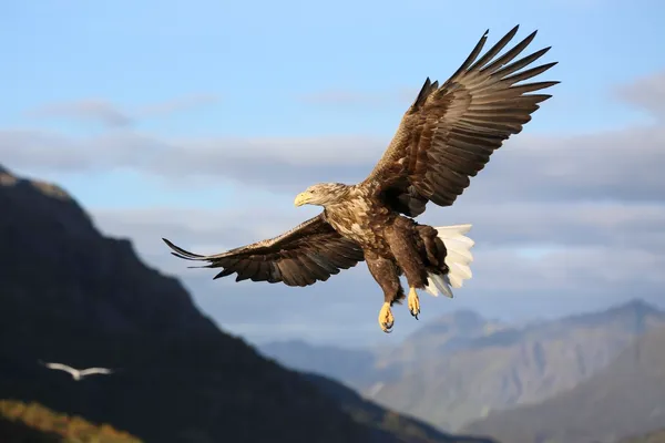 4x de leukste bestemmingen voor een rondreis met Nordic