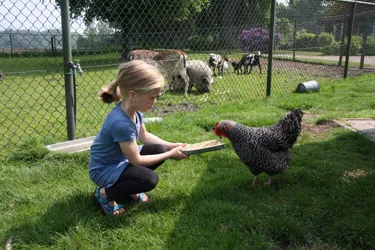 camping-de-bosrand (8).jpg