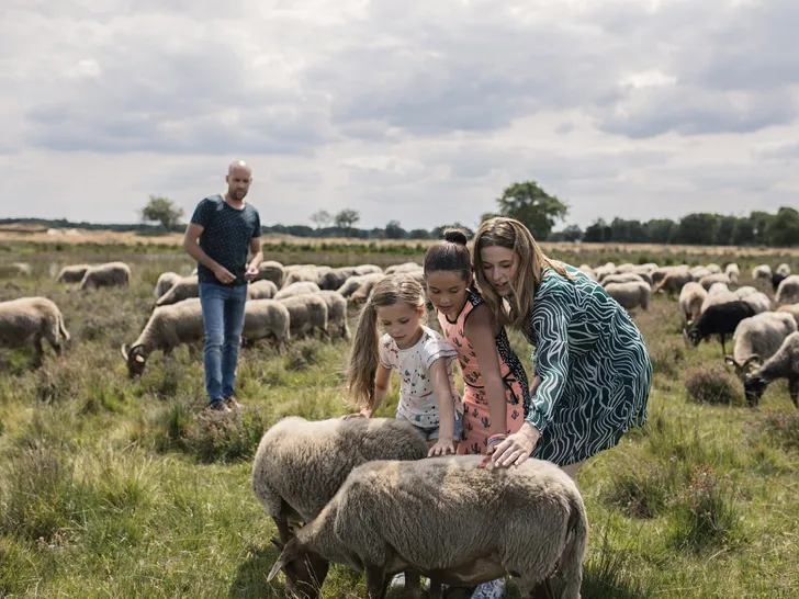 Ontdek de omgeving van De Bonte Wever