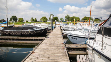 Hoofdafbeelding lente.jpg