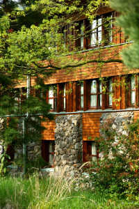 recently watched image