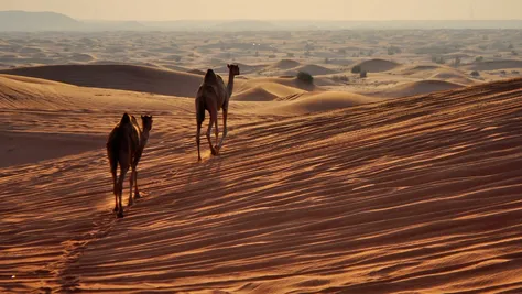 Ligging Ras Al Khaimah