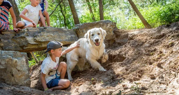 vakantiepark-de-bergen (11).jpg