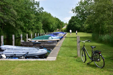 Camping Landgoed Eysinga State 