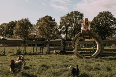 BoerenBed Hoeve de Pippert
