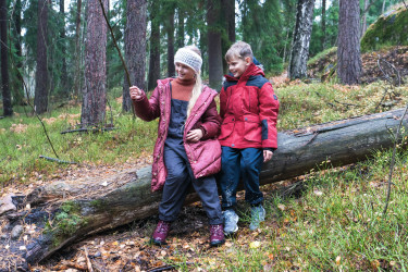 Blokhut aan het meer in Finland