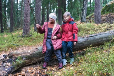 Blokhut aan het meer in Finland