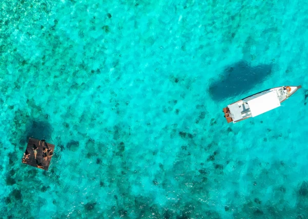 Coral Estate Luxury Resort