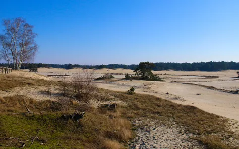 Het Nationale Park de Hoge Veluwe