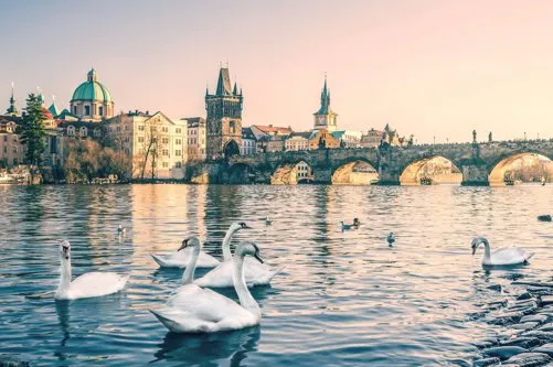 Kindercamping Praag