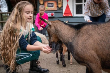 Vakantiepark met kinderboerderij