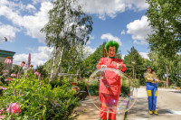 recently watched image