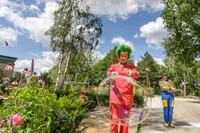 recently watched image