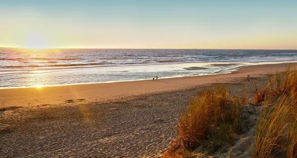 Camping l'Oree du Bois