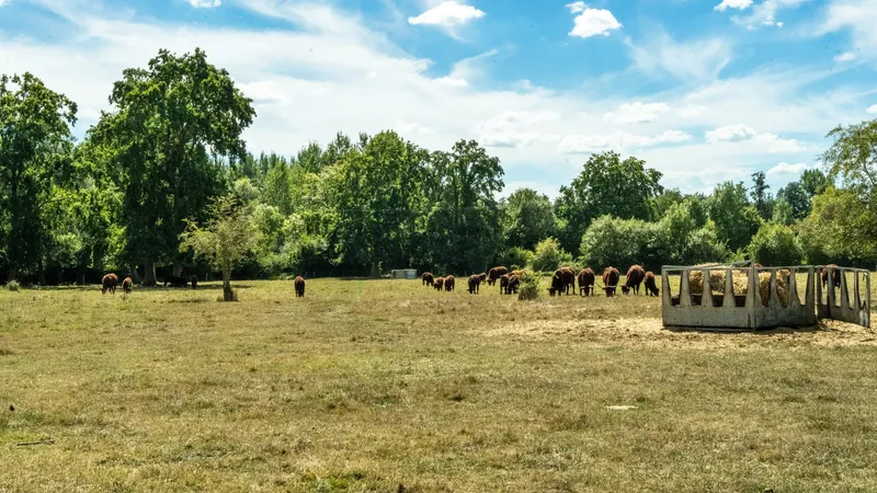 La Ferme de Fontenille