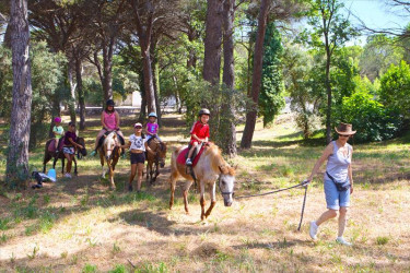 Camping La Baume/La Palmeraie