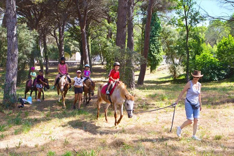 Camping La Baume/La Palmeraie