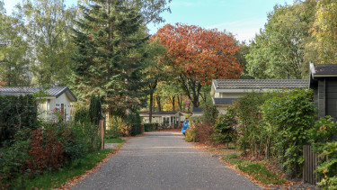 droompark-hooge-veluwe (4).jpg