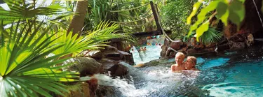 Subtropisch zwemparadijs Nederland 