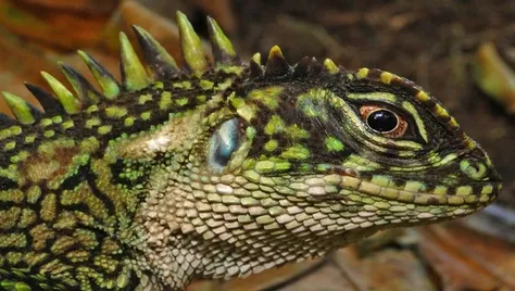 De natuur ontdekken op Mallorca met tieners