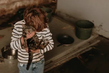 BoerenBed Hoeve den Overdraght