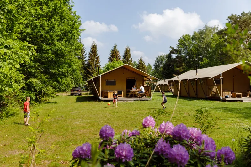 Vakantiepark de Roggeberg